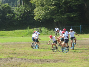 Img_8261 Img_8261