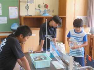 Img_8356 Img_8356