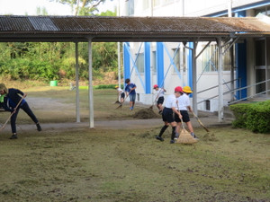 Img_8359 Img_8359