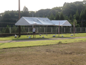 Img_8361 Img_8361