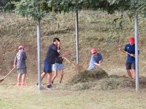 Img_8433 Img_8433