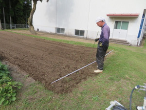 Img_8453 Img_8453