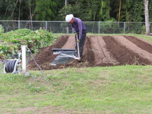 Img_8460 Img_8460