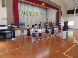 Img_8531 Img_8531