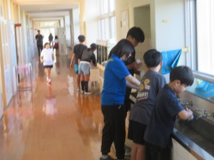 Img_8570 Img_8570