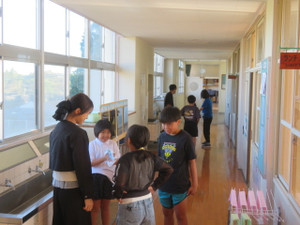 Img_8572 Img_8572
